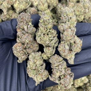 Buy London Jelly Strain UK – Premium Cannabis for Sale