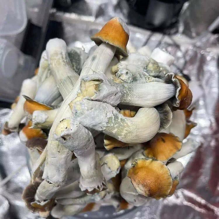 ADHD Treatment for Adults Without Medication UK Guide 2025